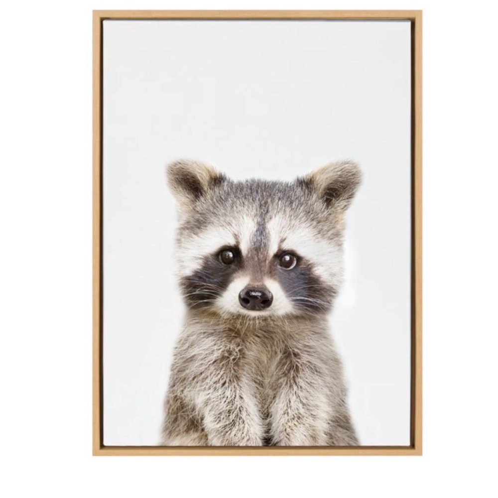 Kate and Laurel Sylvie Baby Raccoon Portrait Framed Canvas
